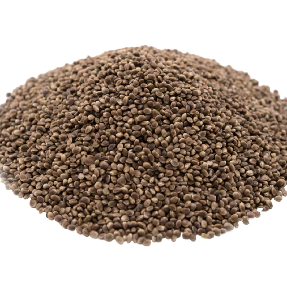 GERBS roasted hemp seeds in a bulk bag for easy portioning and snacking.