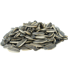 GERBS jumbo raw sunflower seeds in a resealable bag for fresh, crack-and-eat snacking.