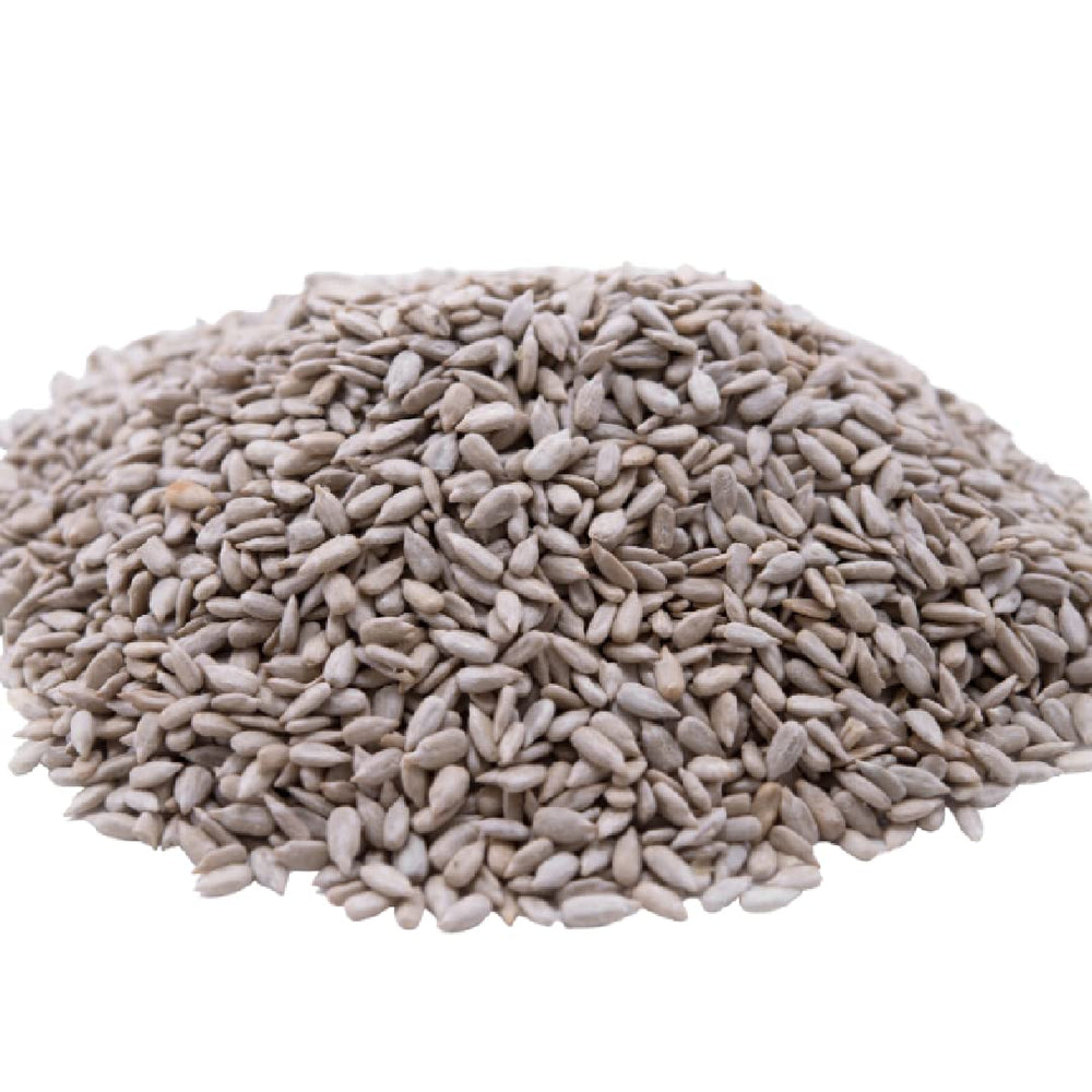 GERBS Lightly Sea Salted Sunflower Seed Kernels bag front, protein-packed snack