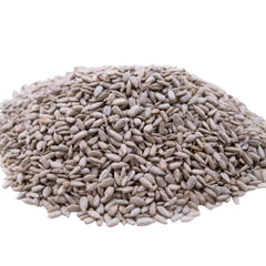 GERBS Lightly Sea Salted Sunflower Seed Kernels bag front, protein-packed snack