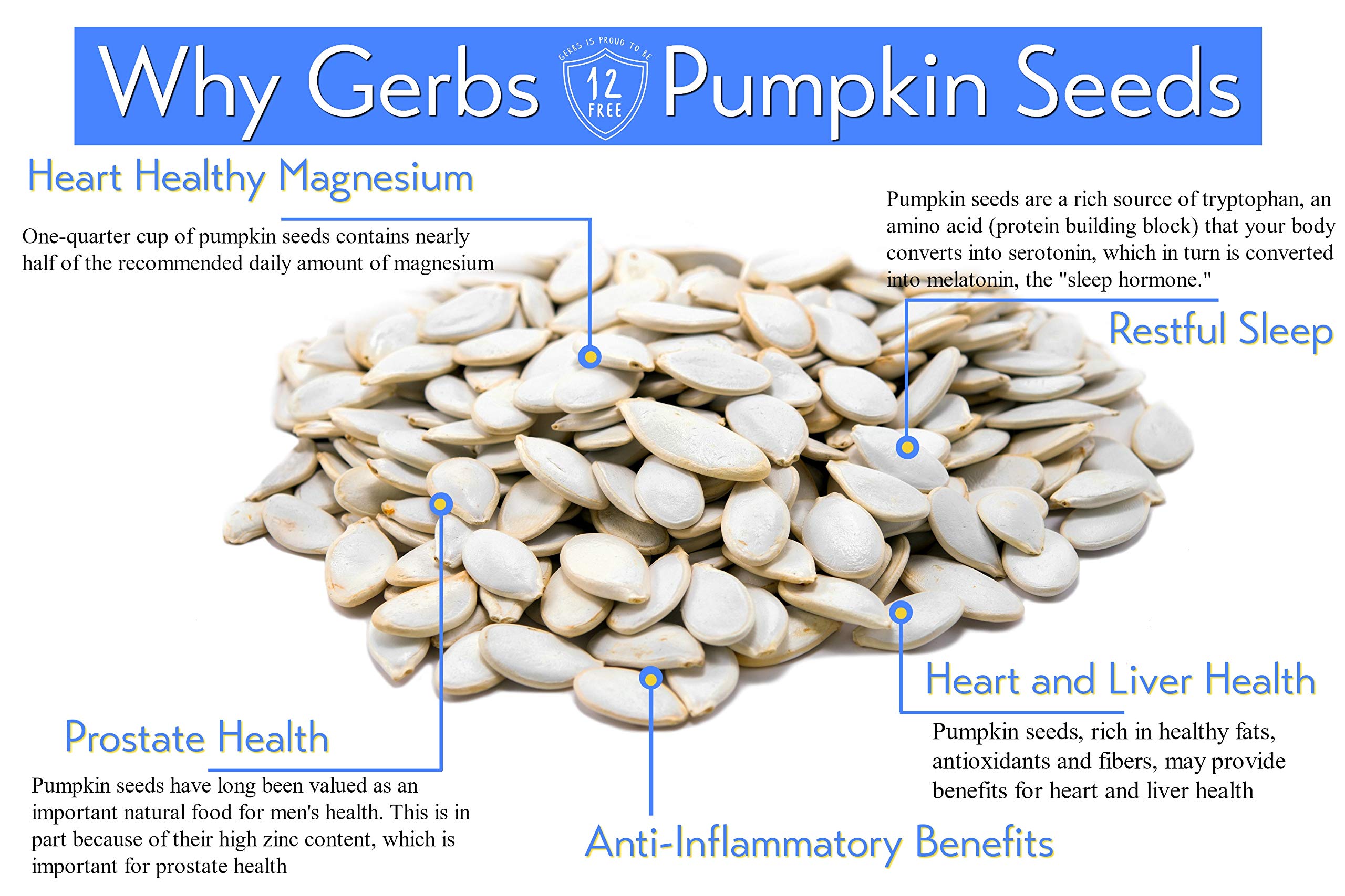GERBS pumpkin seeds 10.5 mm size shown for consistent bite.