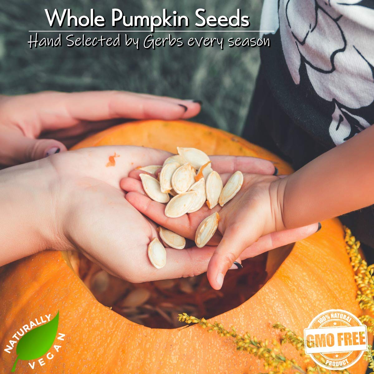 GERBS pumpkin seeds in-shell roasted texture close-up, great for trail mix.