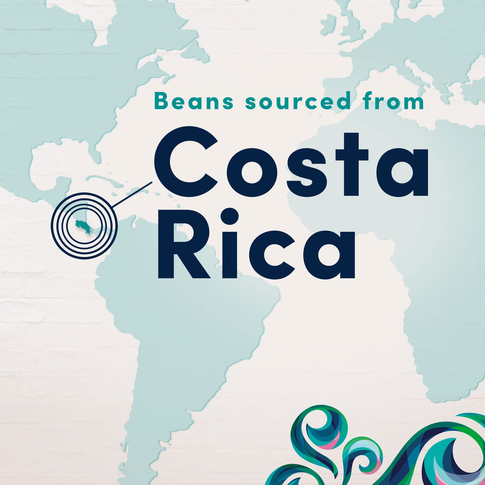 Gevalia French press setup with Costa Rica Special Reserve grounds for rich extraction.