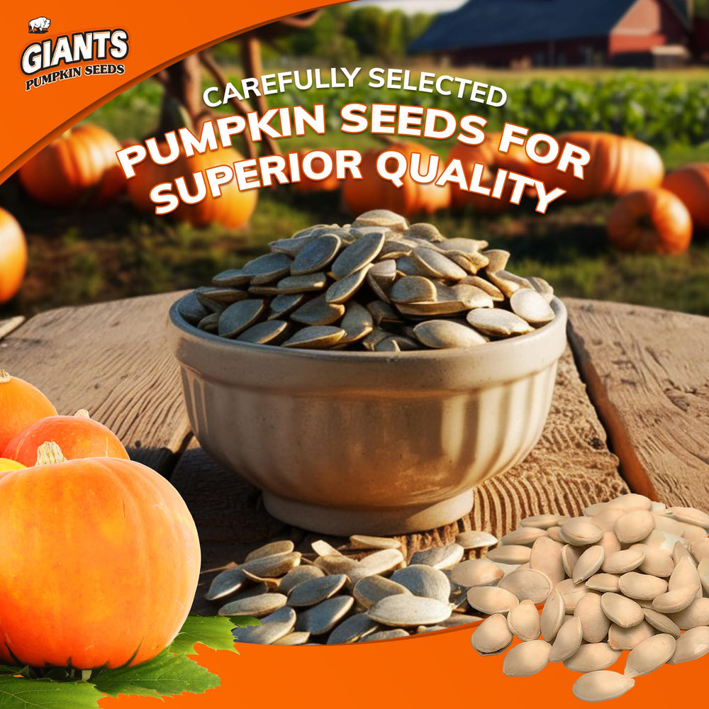 GIANTS pumpkin seeds in-shell for on-the-go snacking and quick protein.