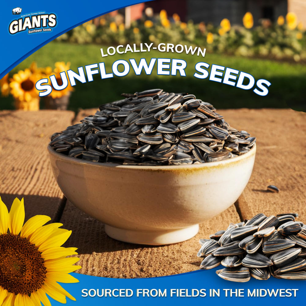 GIANTS Kettle Roast seeds in a fistful ready for post-workout refuel