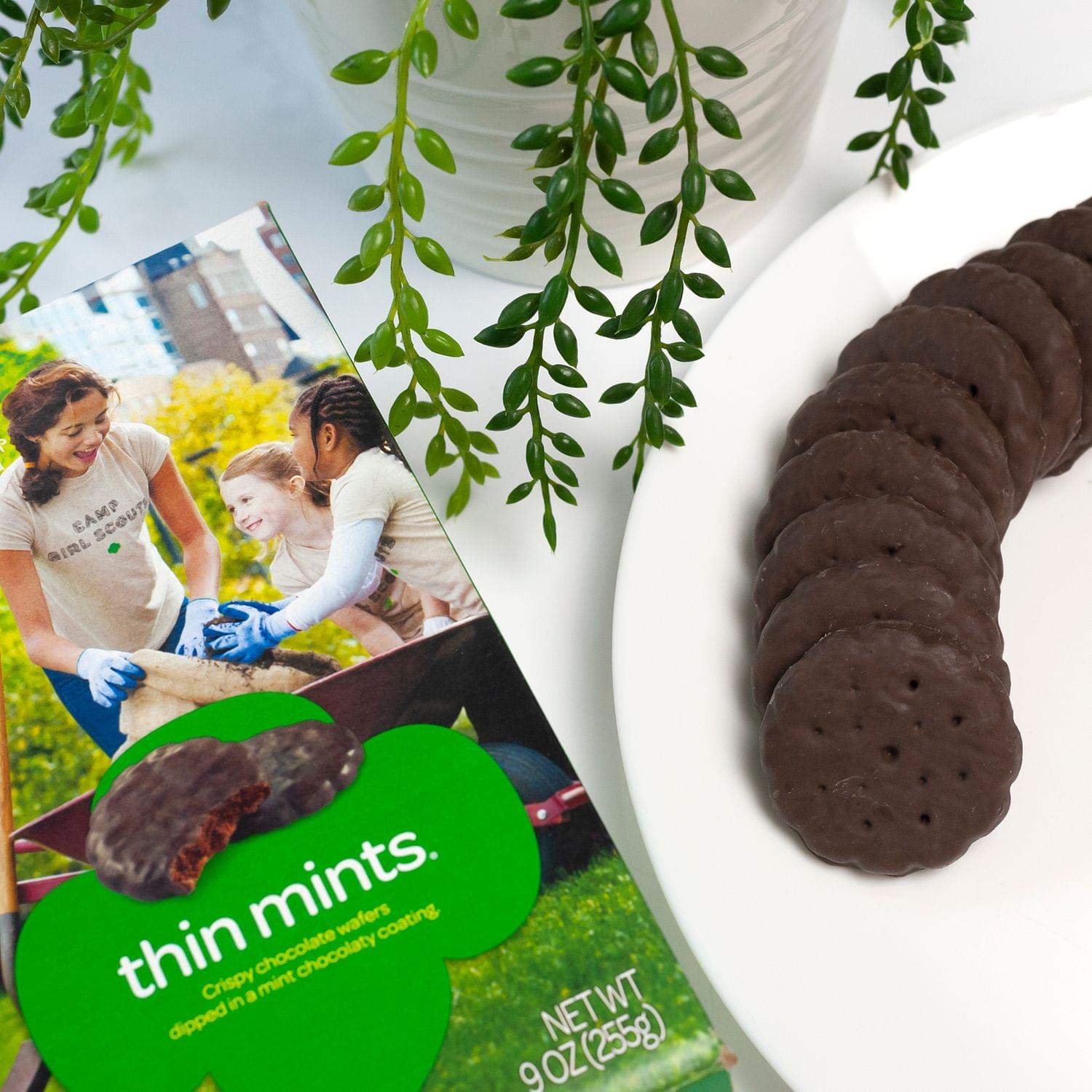 Girl Scouts Thin Mints dip-ready idea, pair with milk or coffee.