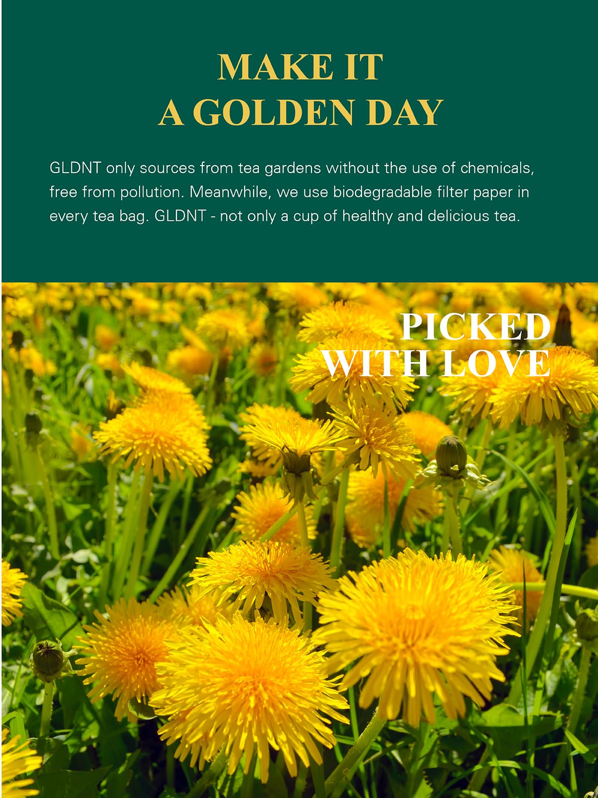 GLDNT organic dandelion root tea ingredients highlight simple, gluten-free blend.