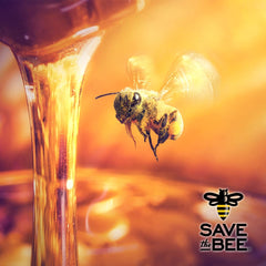 GloryBee honey syrup with pump spout for precise drink measurements.