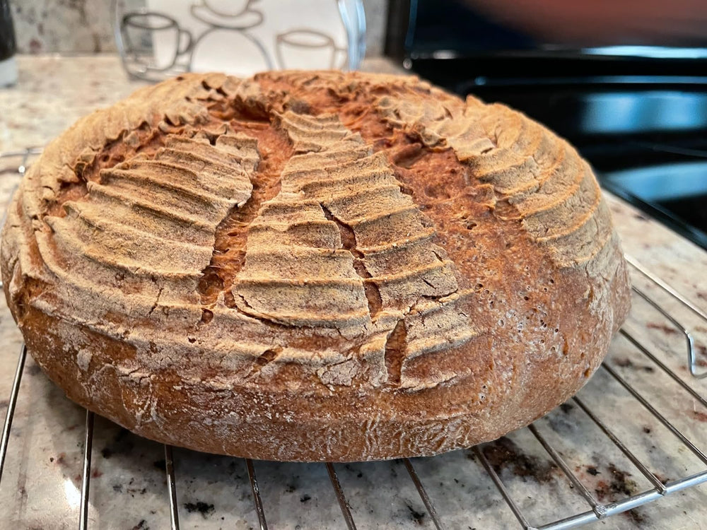 Glutenfreeee sliced bread on plate for quick, satisfying servings