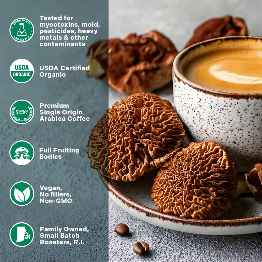 GO MENTAL 14 Mushroom Coffee Ground Closeup highlights earthy aroma and flavor.