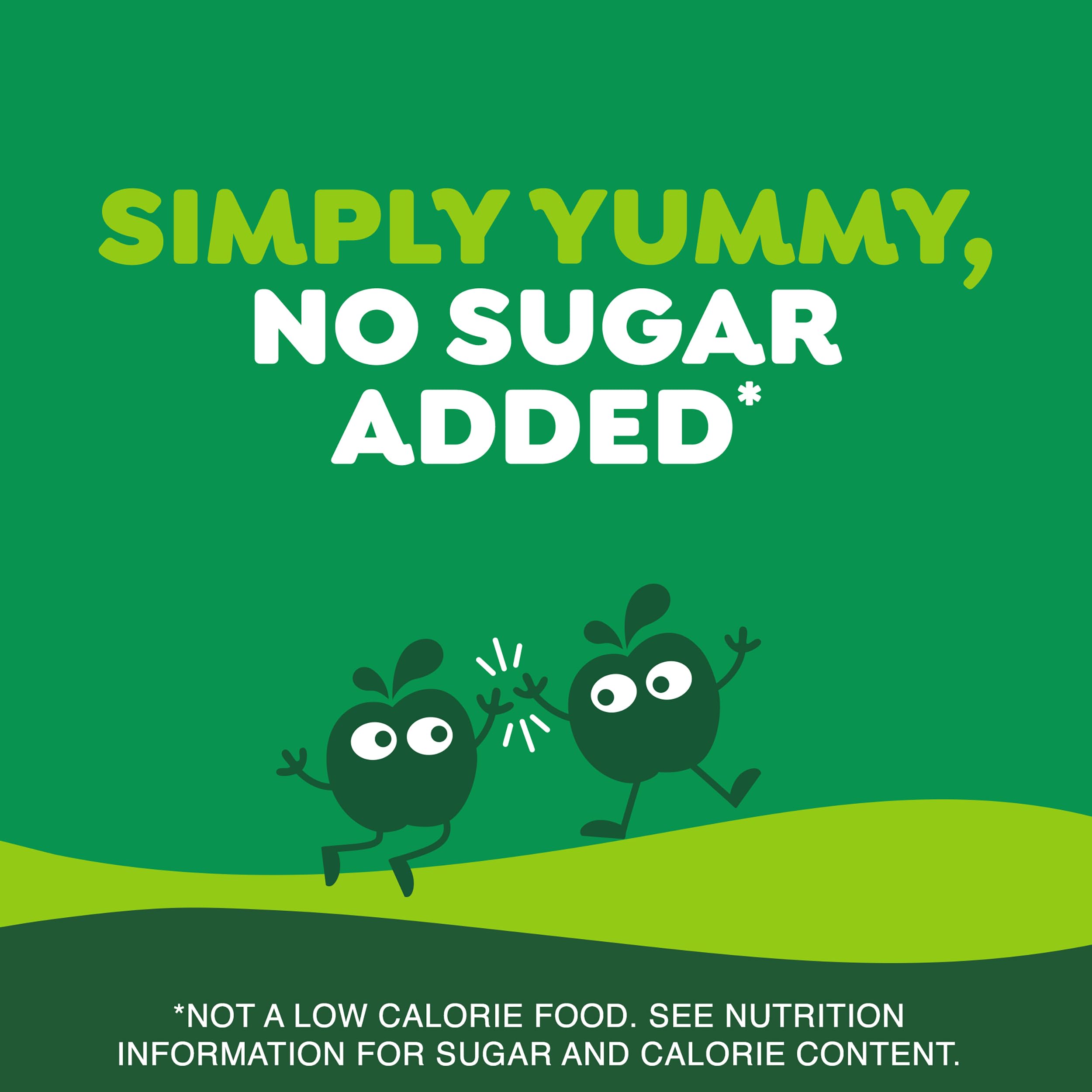 GoGo squeeZ kosher certified snack in a convenient pouch