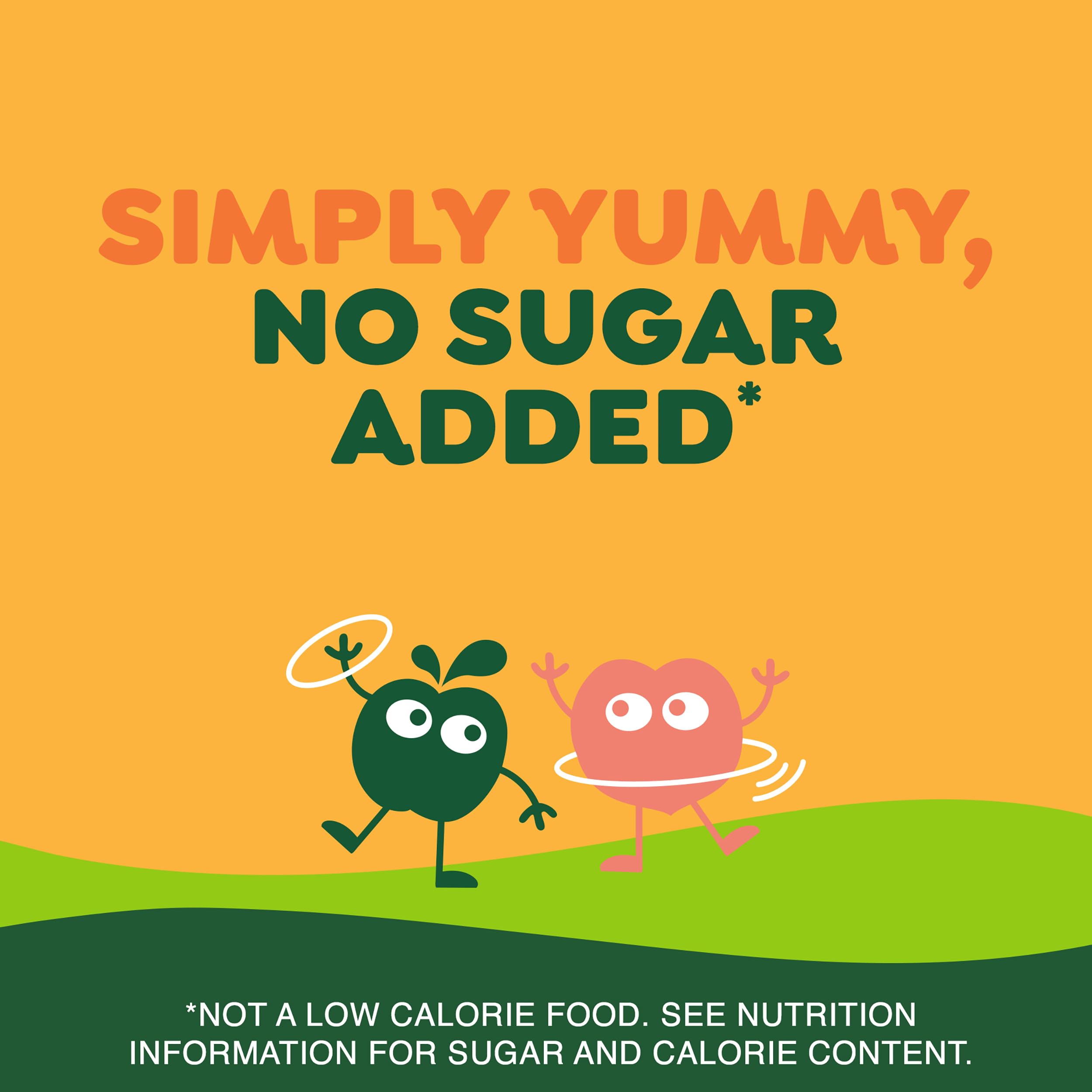 GoGo squeeZ travel-friendly snack for trips and car rides