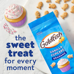 Goldfish Grahams Vanilla Cupcake closeup cracker showing texture and sweetness.