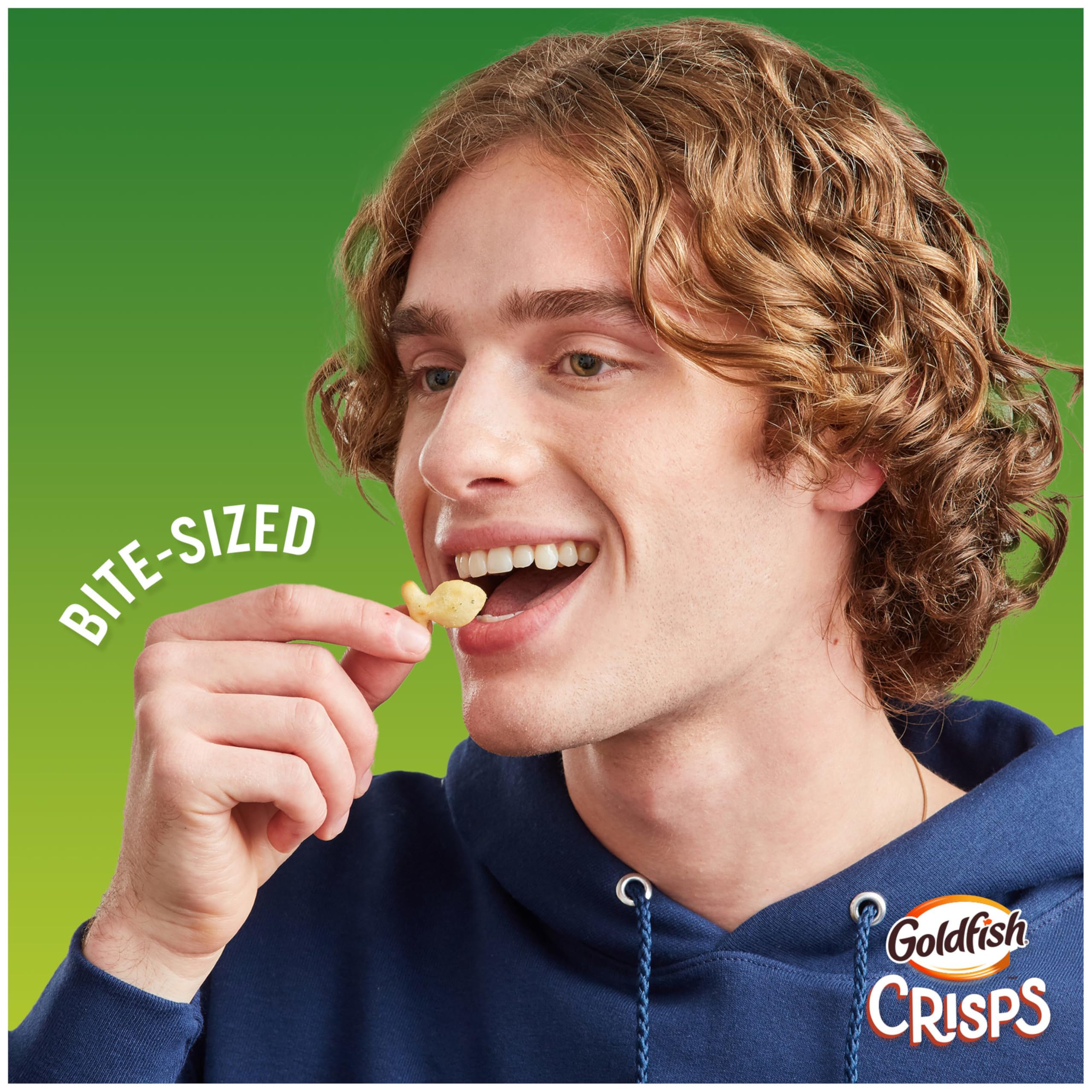 Goldfish Sour Cream & Onion baked crisp close-up showing light crunch