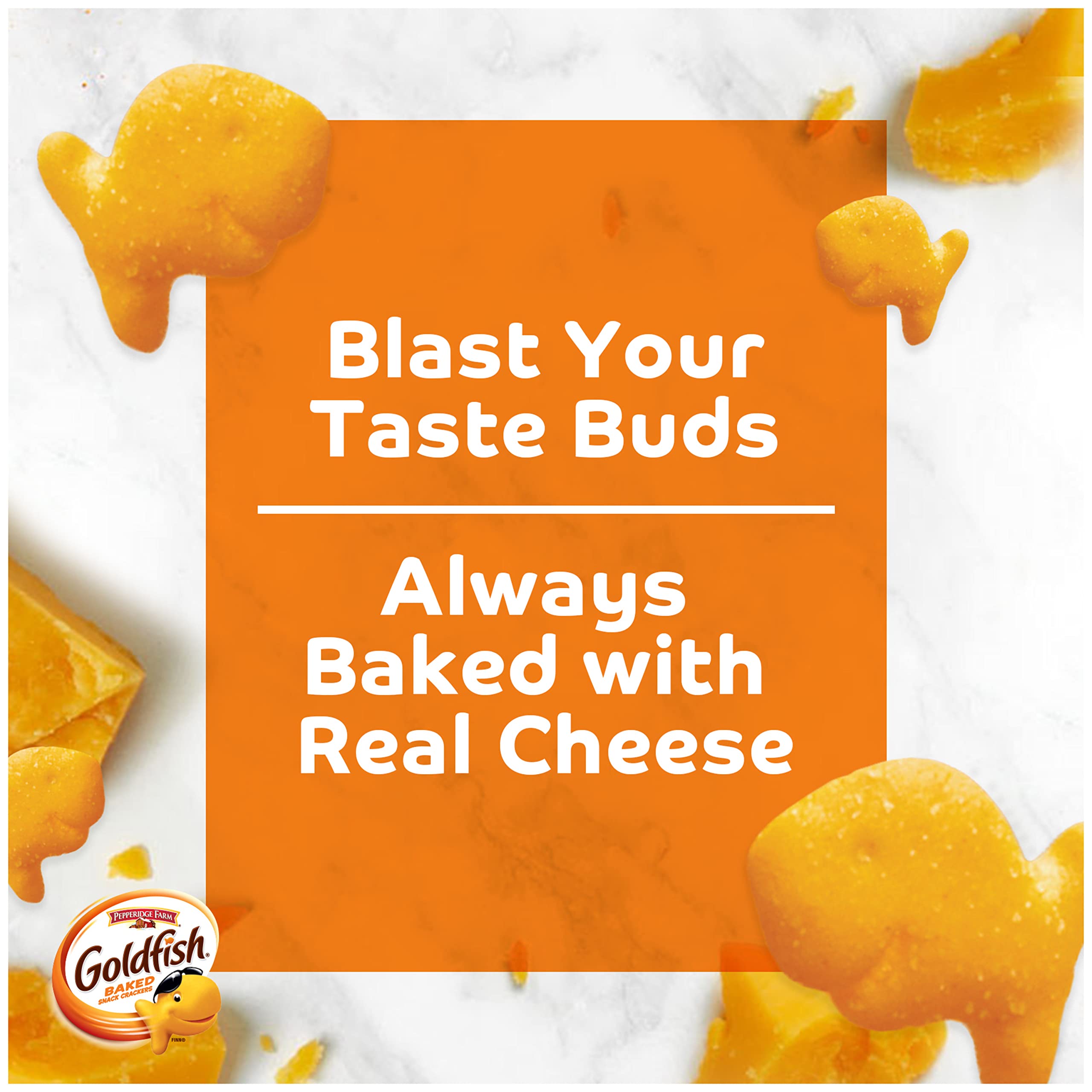 Goldfish close-up of a single cracker highlighting shape and extra cheddar taste