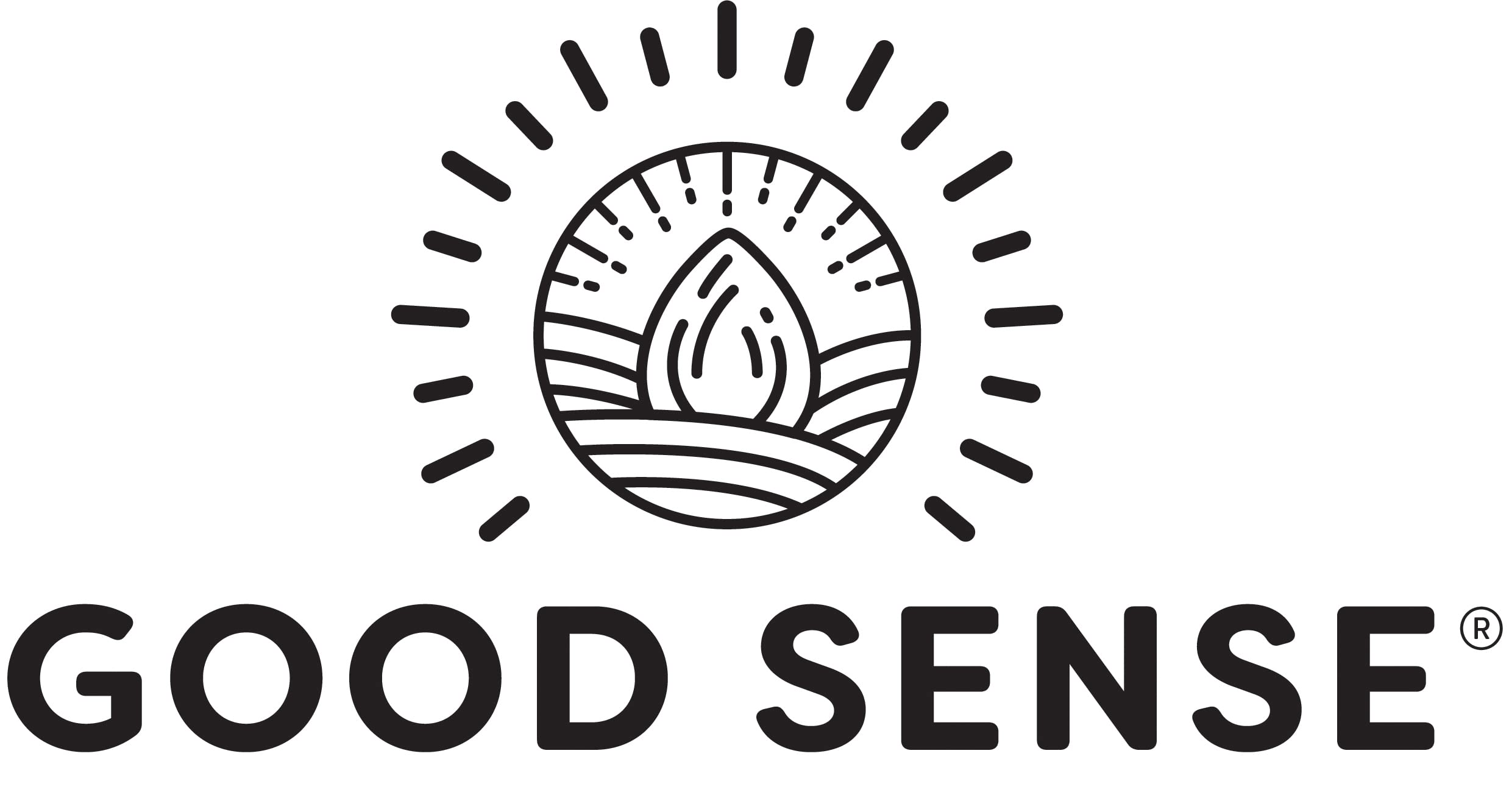 Good Sense honey roasted pumpkin seeds label closeup, showcasing protein-rich snack.