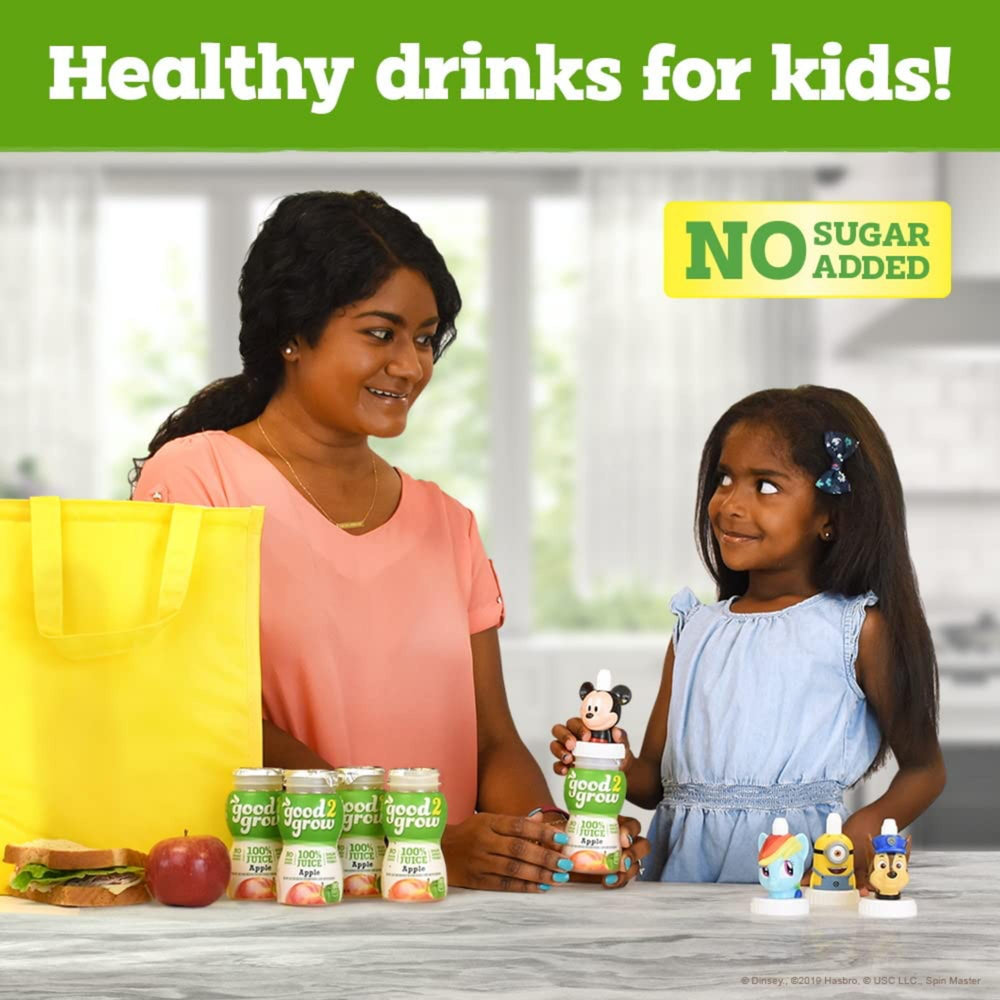 Good2Grow 24-pack apple juice boxes for school lunches and trips