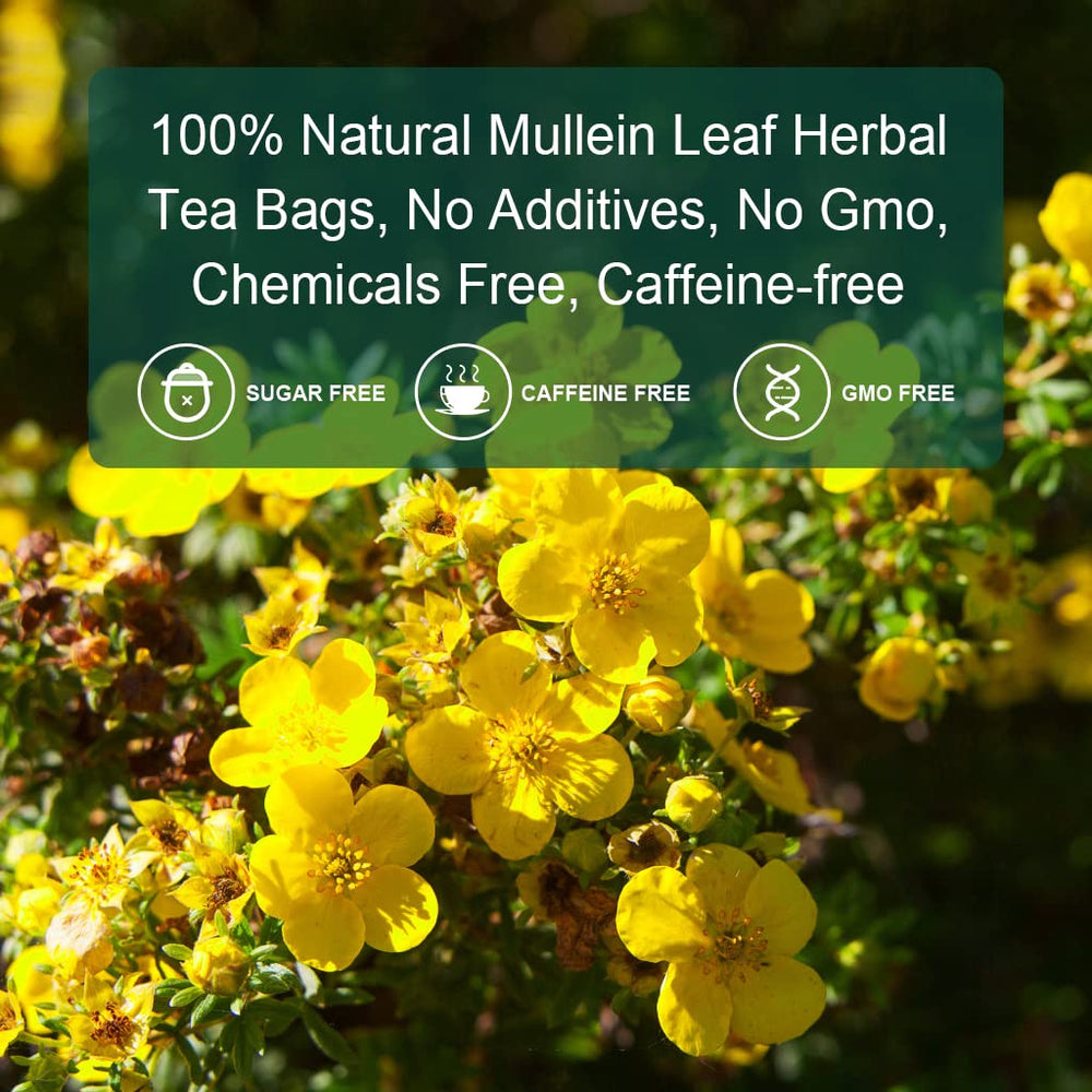 GORNVB Mullein Leaf Tea dry leaves ready to steep
