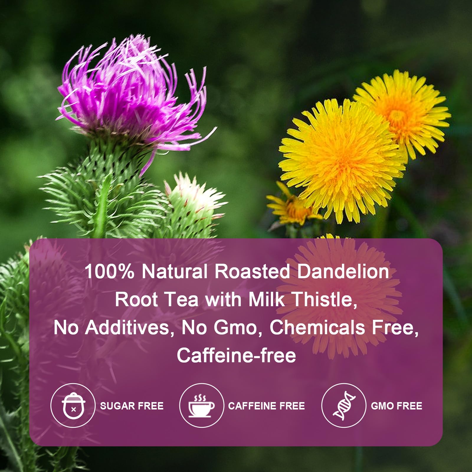 GORNVB steaming tea cup inviting aromatic herbal experience.