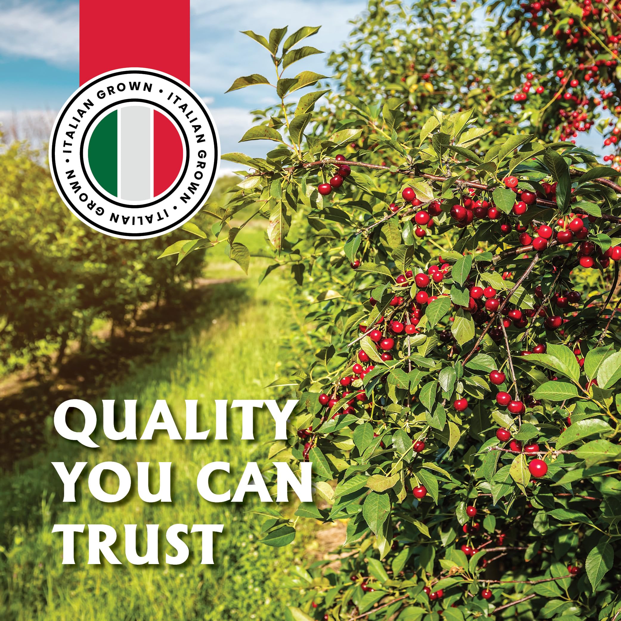 Gourmanity jar-label closeup: premium Italian grown cherries for drinks.