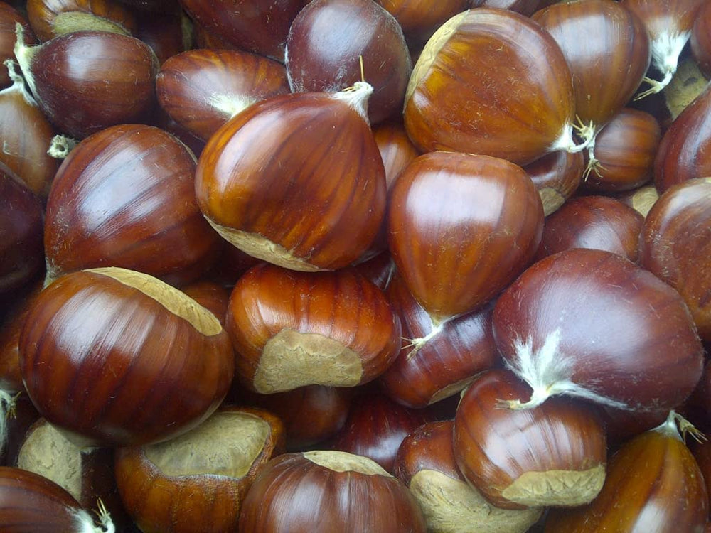 Gourmanity chestnuts used in baking and desserts for creamy notes.