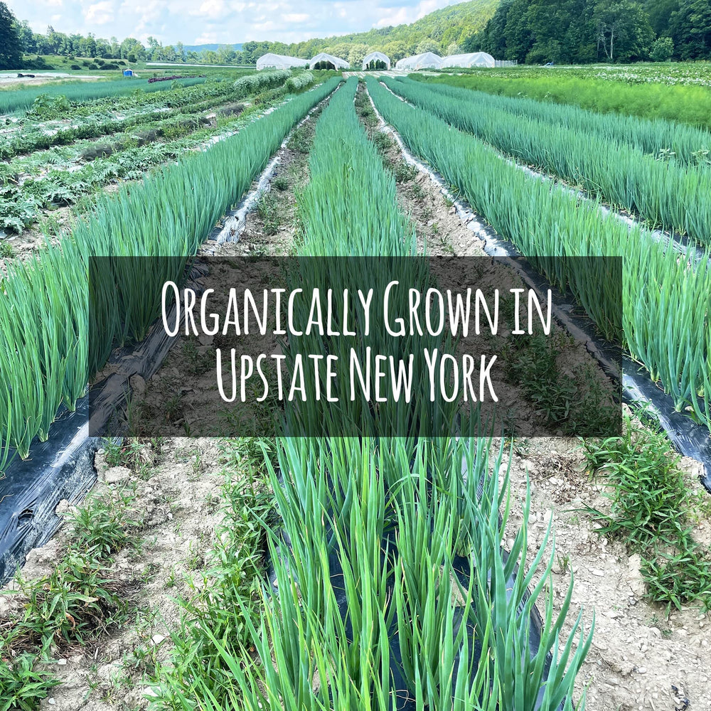 Gourmend green onion powder recipe idea for quick meals
