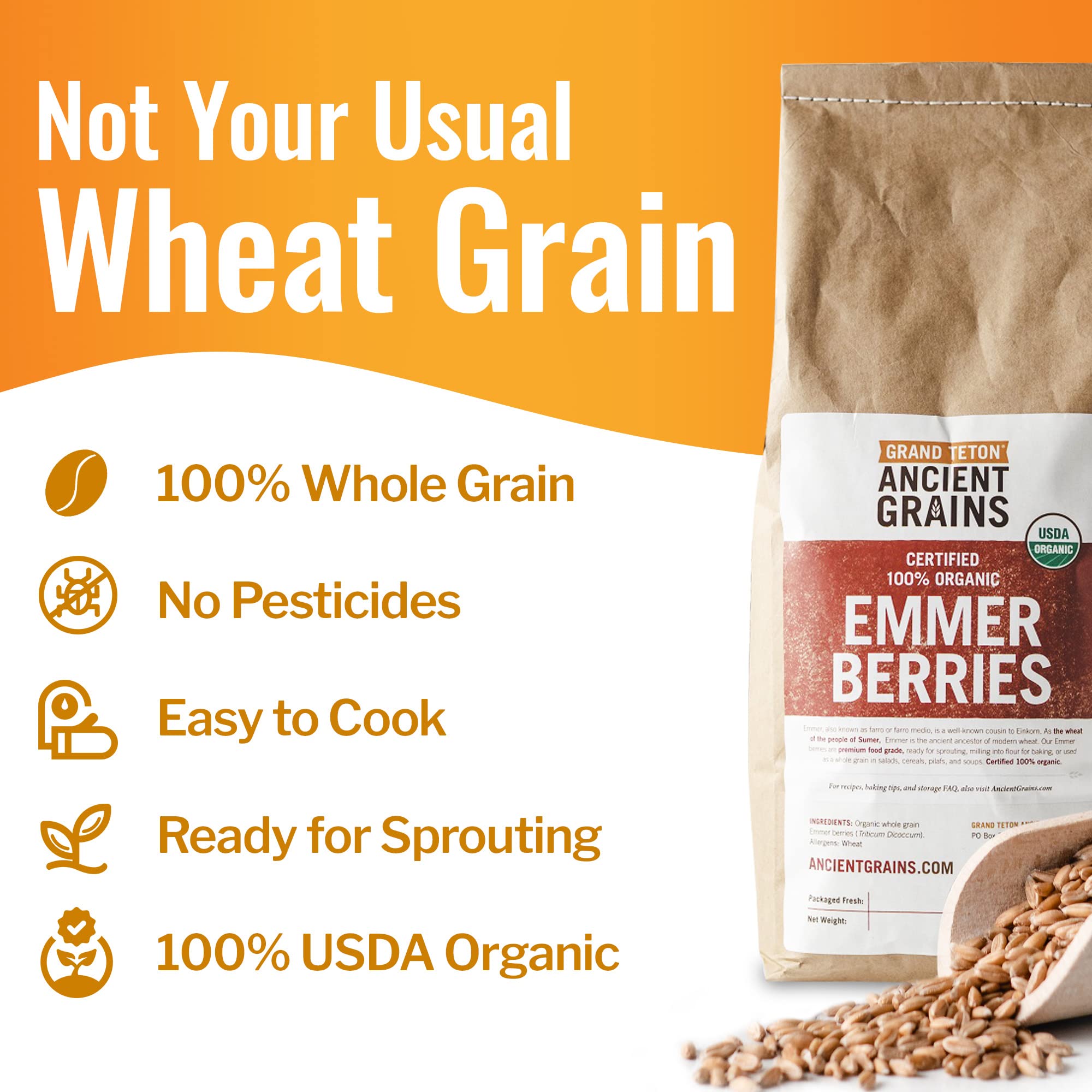 Grand Teton Emmer Wheat Berries poured into a bowl for grain salads.