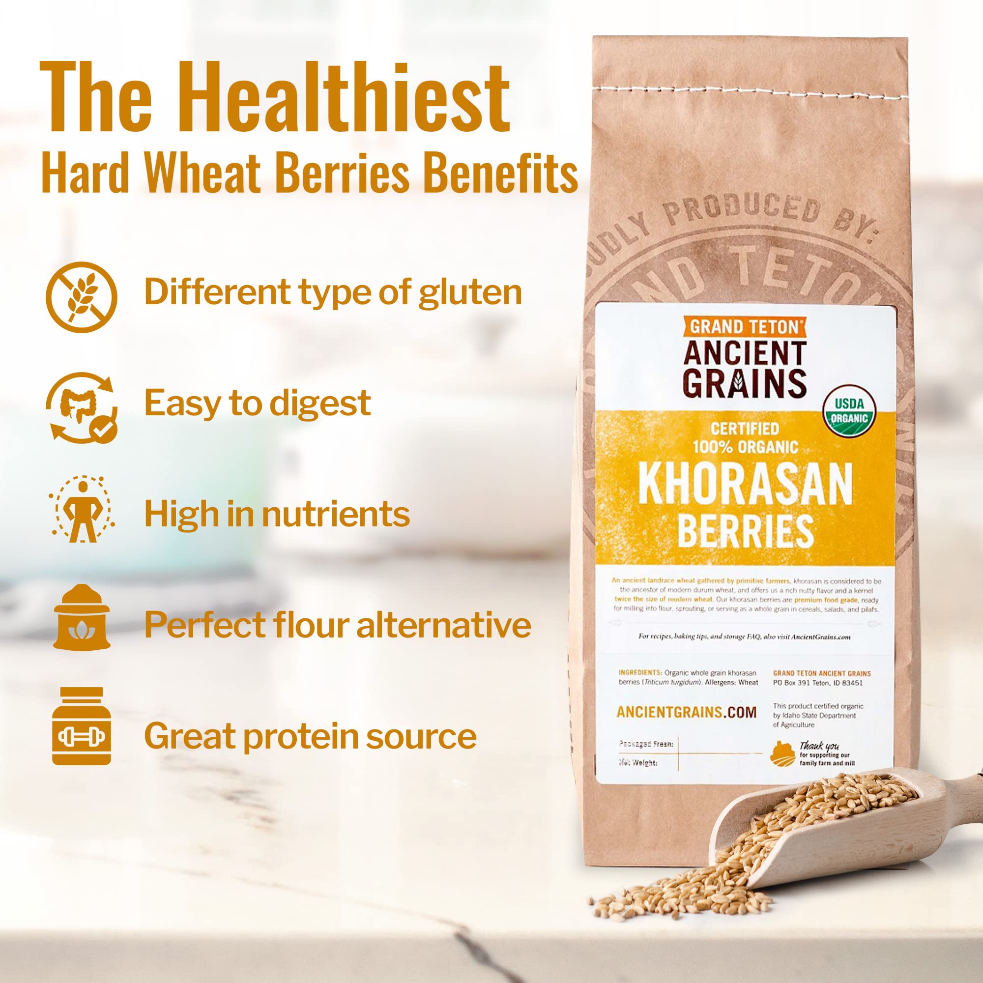 Grand Teton Khorasan wheat berries for baking and enriching breads