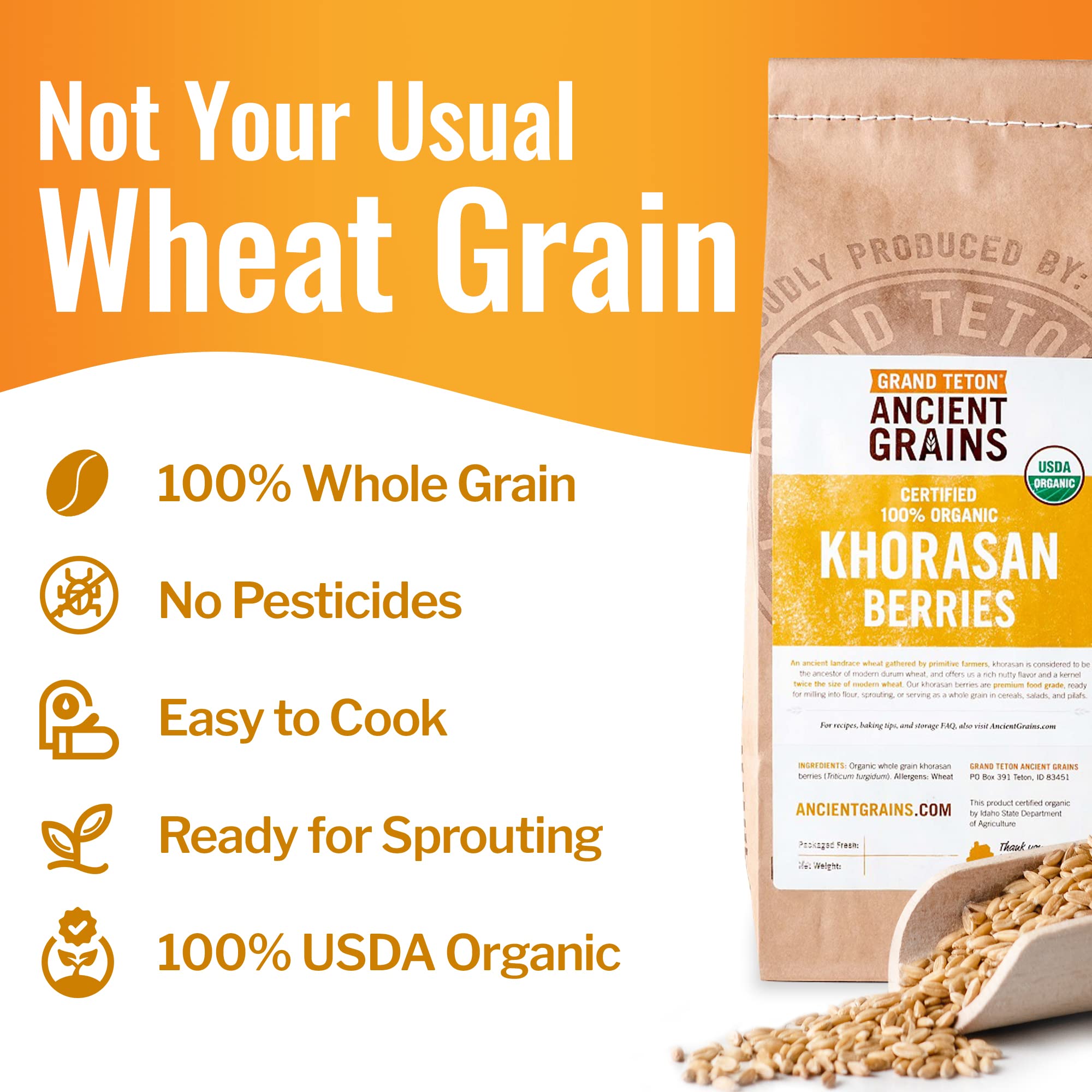 Grand Teton Khorasan berries in salads for fiber-rich crunch