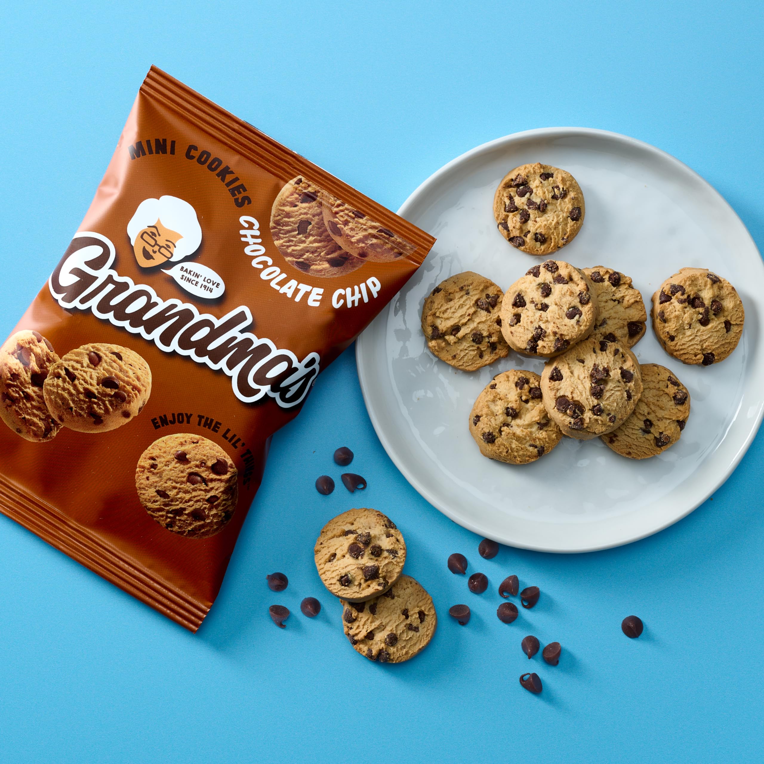 Grandma's Mini Cookies lunch or picnic scene for easy sharing.