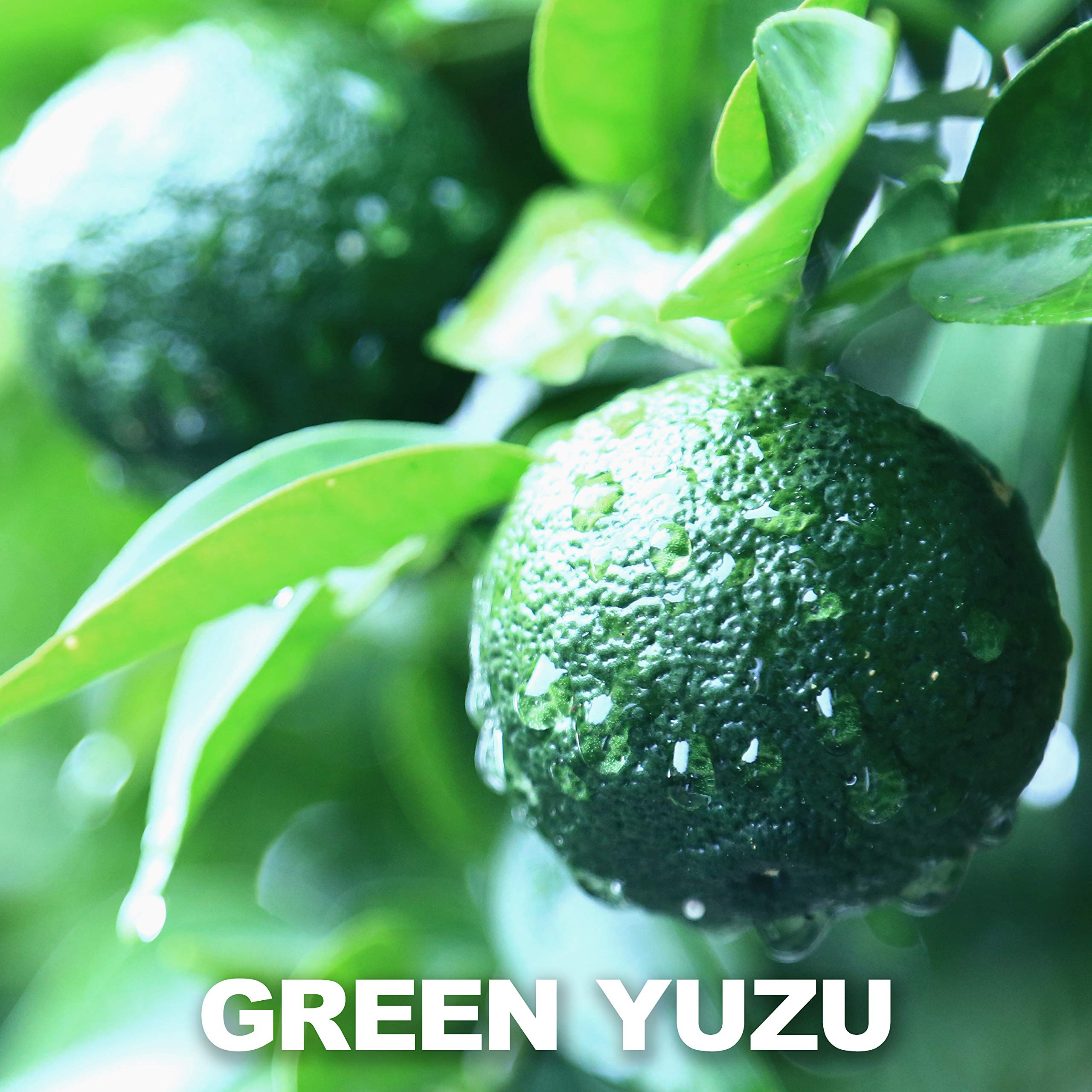Granular Chaganju Yuzu Kosho paste close up showing citrus texture and heat