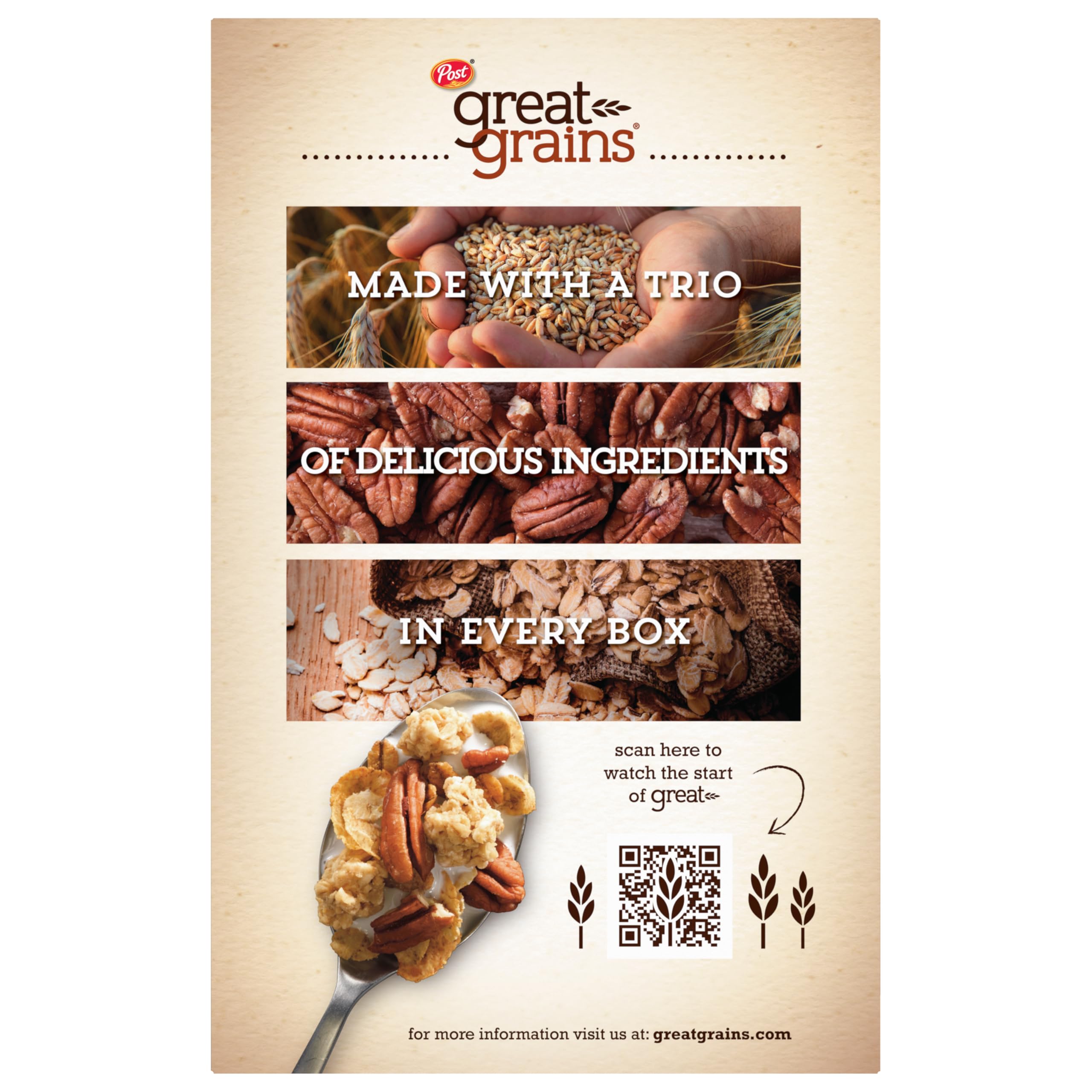 Great Grains Crunchy Pecans pecans close-up highlights natural taste and wholesome texture.
