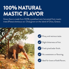 Greco Gum Mastic Droplets piney flavor ideal for mindful chewing sessions.