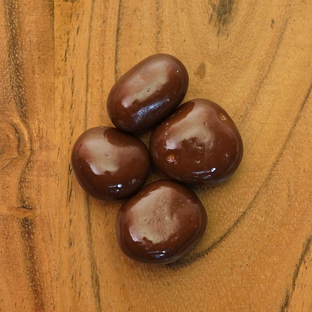 Green Jay Gourmet dried Michigan cherries image emphasizes local harvest and chocolate coating
