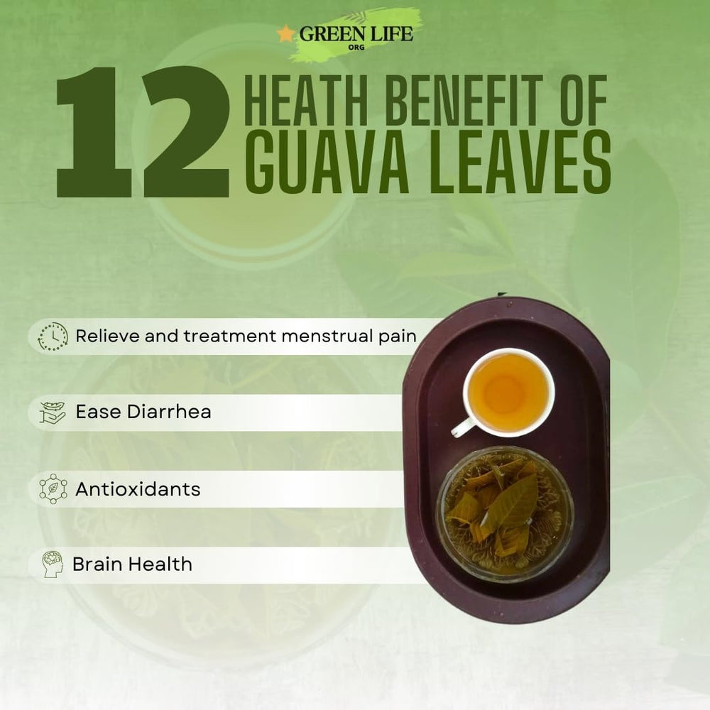 Green Life Org infusion setup suggests effortless daily ritual.