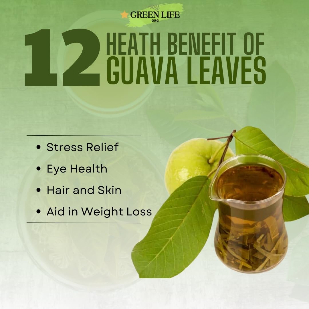 Green Life Org loose quava tea showcases finely dried leaves.