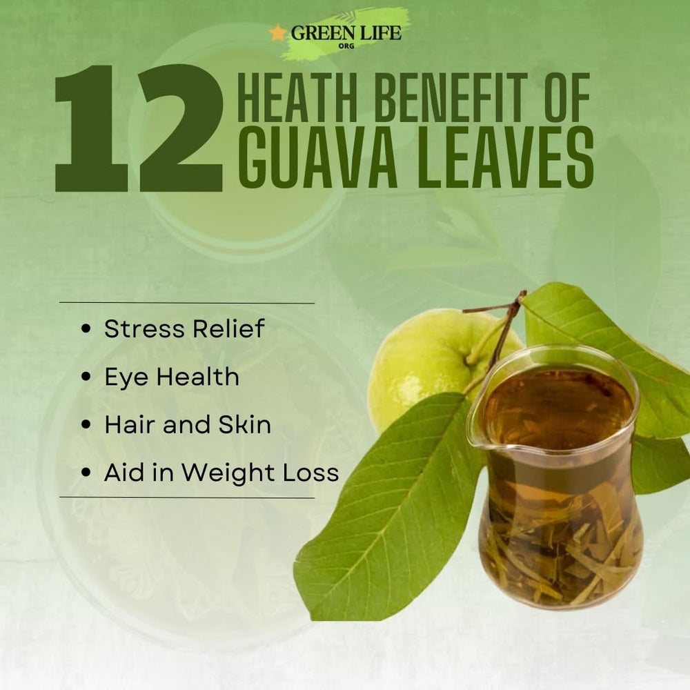 Green Life Org loose quava tea showcases finely dried leaves.