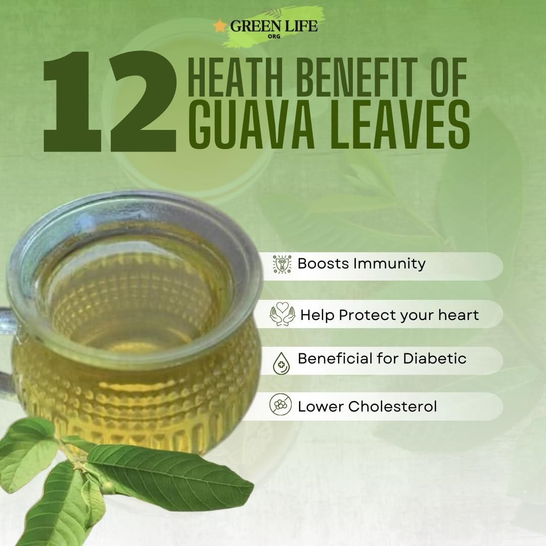 Green Life Org sun-dried quava leaves show vibrant color and aroma.