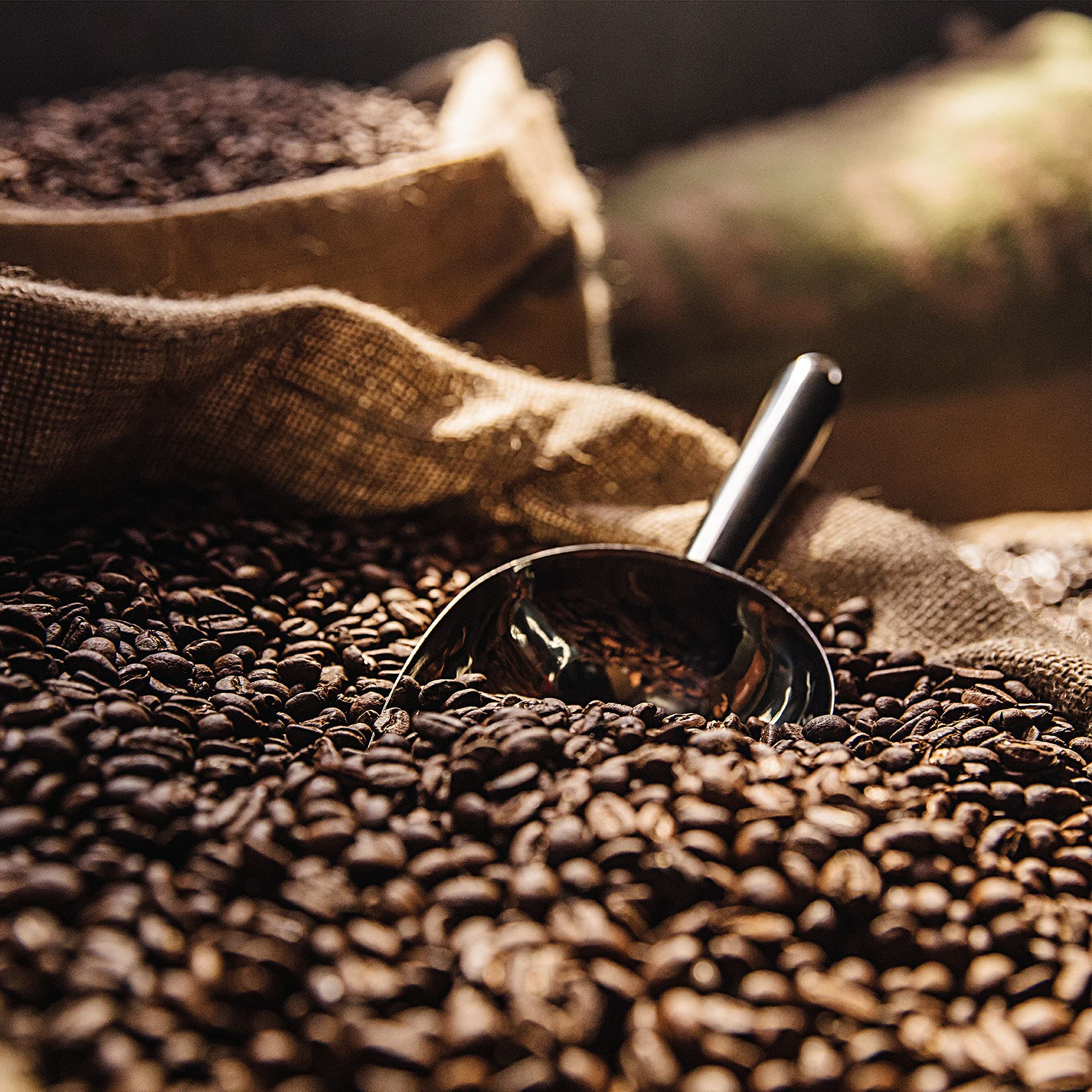 Pour-over setup hints at clean, balanced extraction for aroma-rich cups