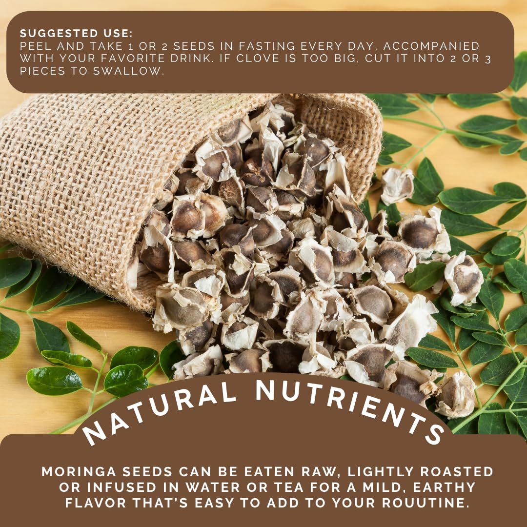 Green Royalty Moringa seeds in tea cup, suggesting a calming daily ritual.