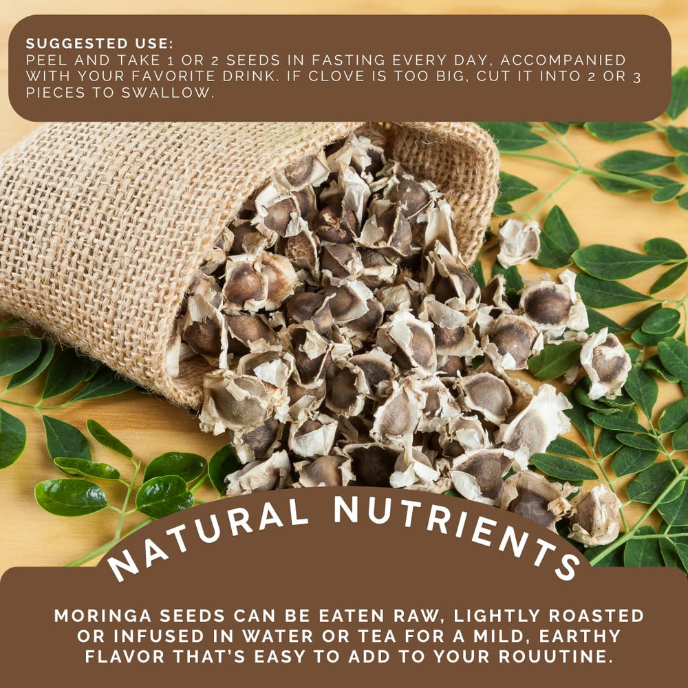 Green Royalty Moringa seeds in tea cup, suggesting a calming daily ritual.