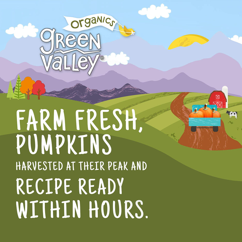 Green Valley Organics Pumpkin grown in the USA on family farms