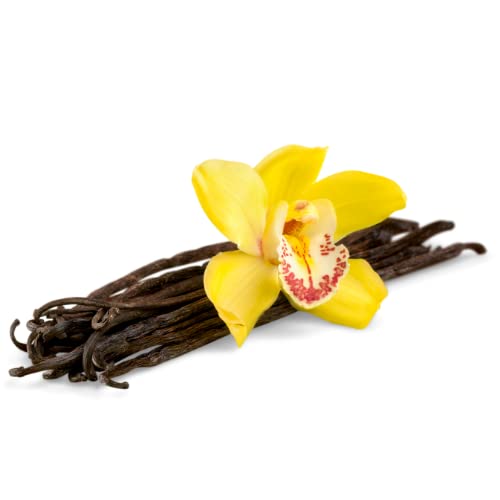 Green Vanilla Madagascar beans ideal for vanilla powder or extract