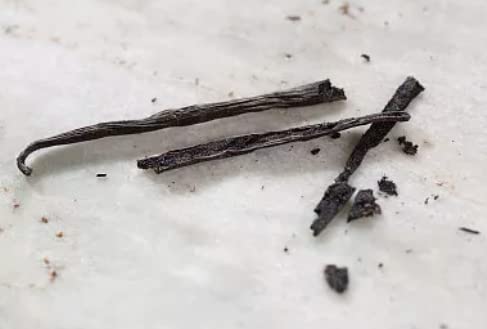 Green Vanilla beans ready to make homemade vanilla extract.