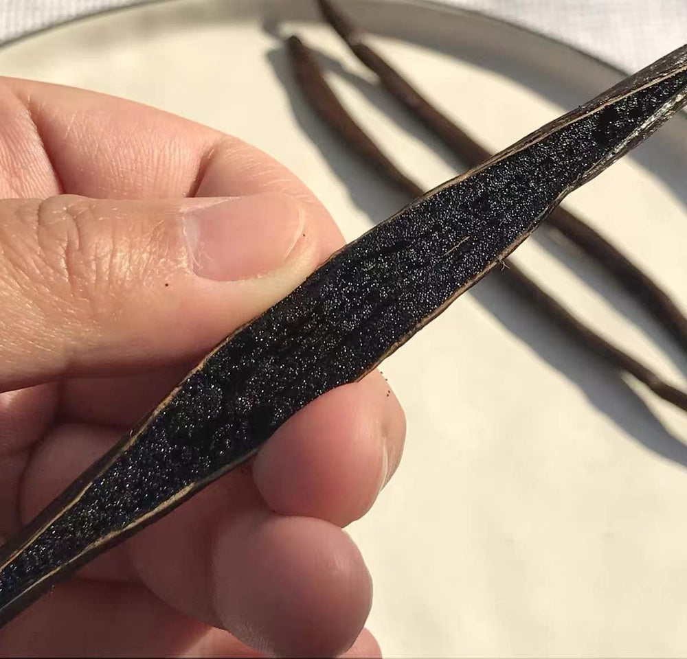 Whole Green Vanilla pod releasing warm, creamy notes when scraped.