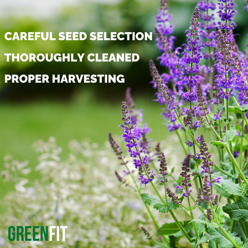 Greenfit vegan chia seeds demonstrate diet-friendly plant-based nutrition.