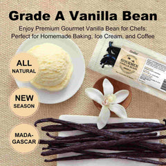 Close-up of GRELIM vanilla beans highlighting rich aroma