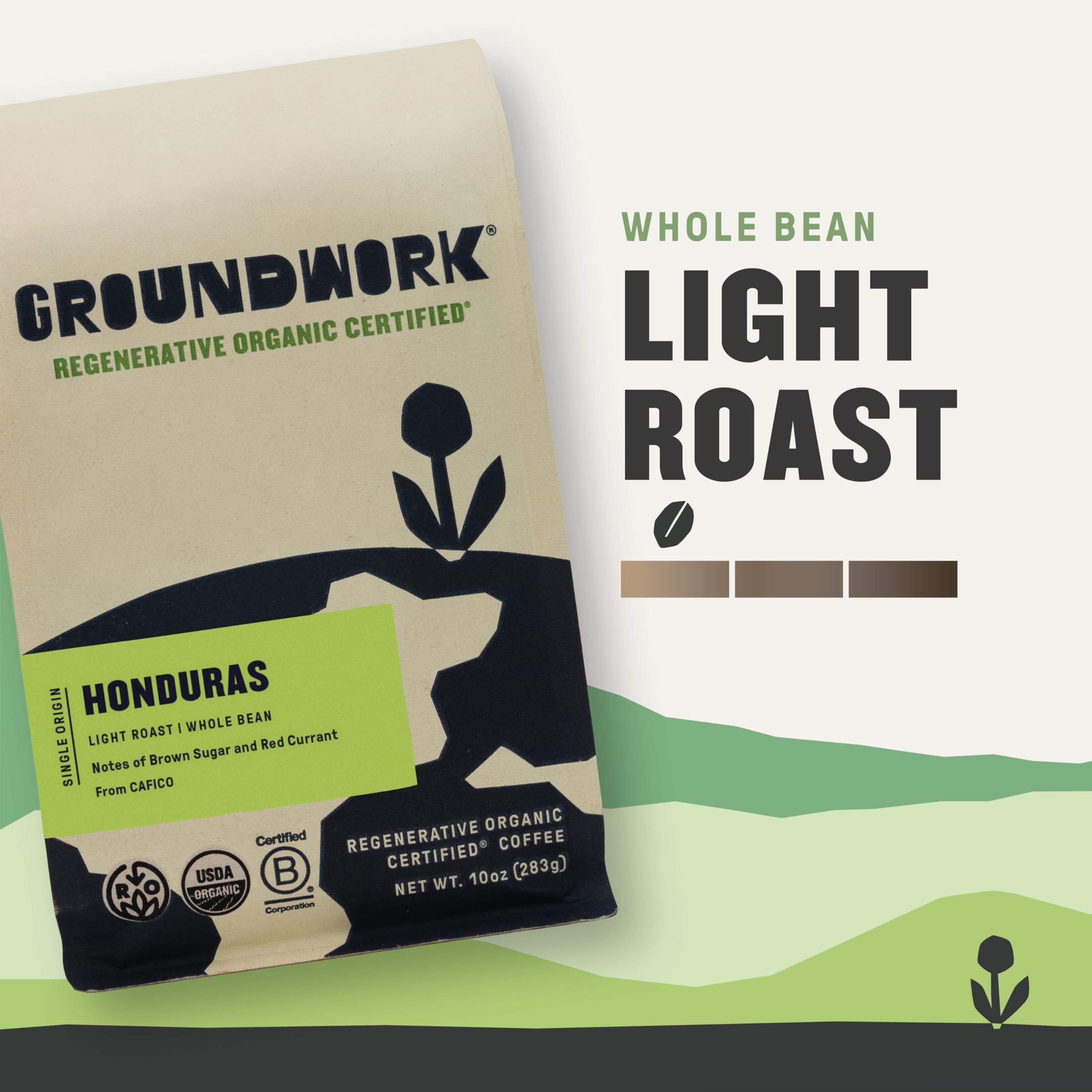 Groundwork Coffee Honduras whole bean image 2; versatile grind for drip brewing at home.