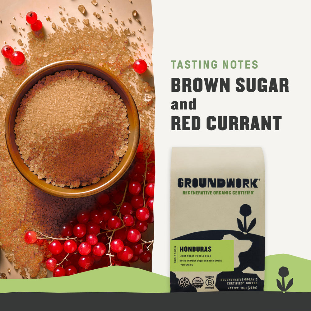 Groundwork Honduras whole bean image 3; aromatic morning ritual with cocoa notes.