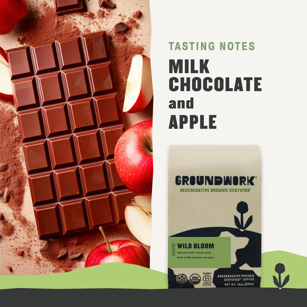 Groundwork Coffee Wb Roc Wild Blm Md drip brew scene showcases versatile flavor.